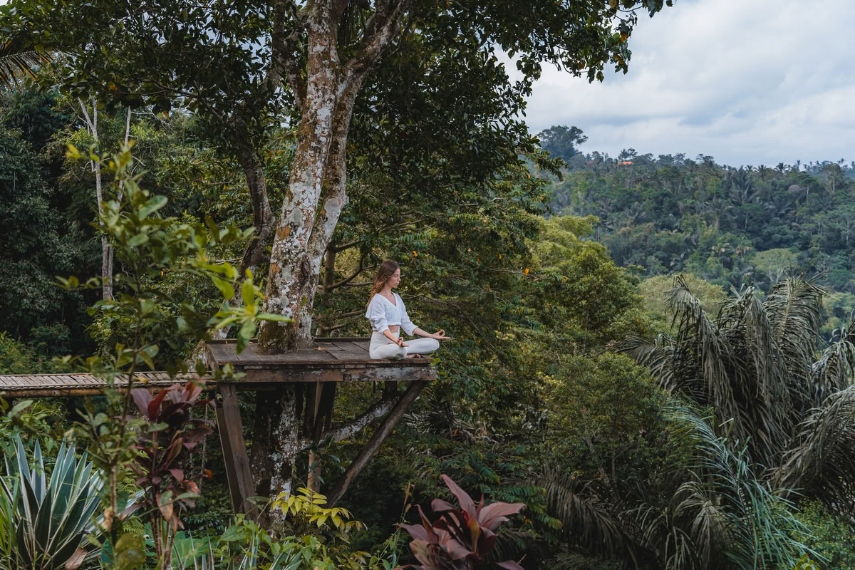 200-Hour/ 300 Hour Hybrid Yoga Teacher Training – Dec. 24th, 2026 – Jan. 6th, 2027