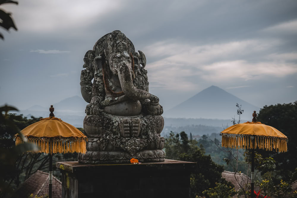 300-hour Yoga Teacher Training – May 11th - June 7th, 2026