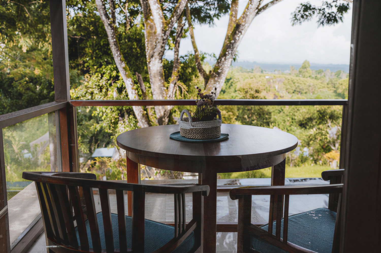 300-hour Yoga Teacher Training – Oct. 26th – Nov. 21th, 2026