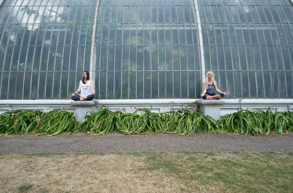 Access Consciousness Therapies at Medicine Festival