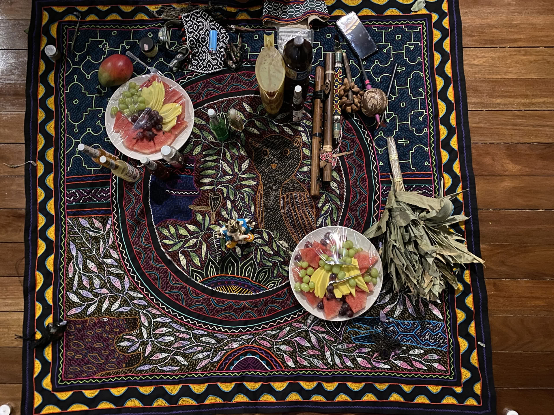 Shipibo Ayahuasca Ceremony