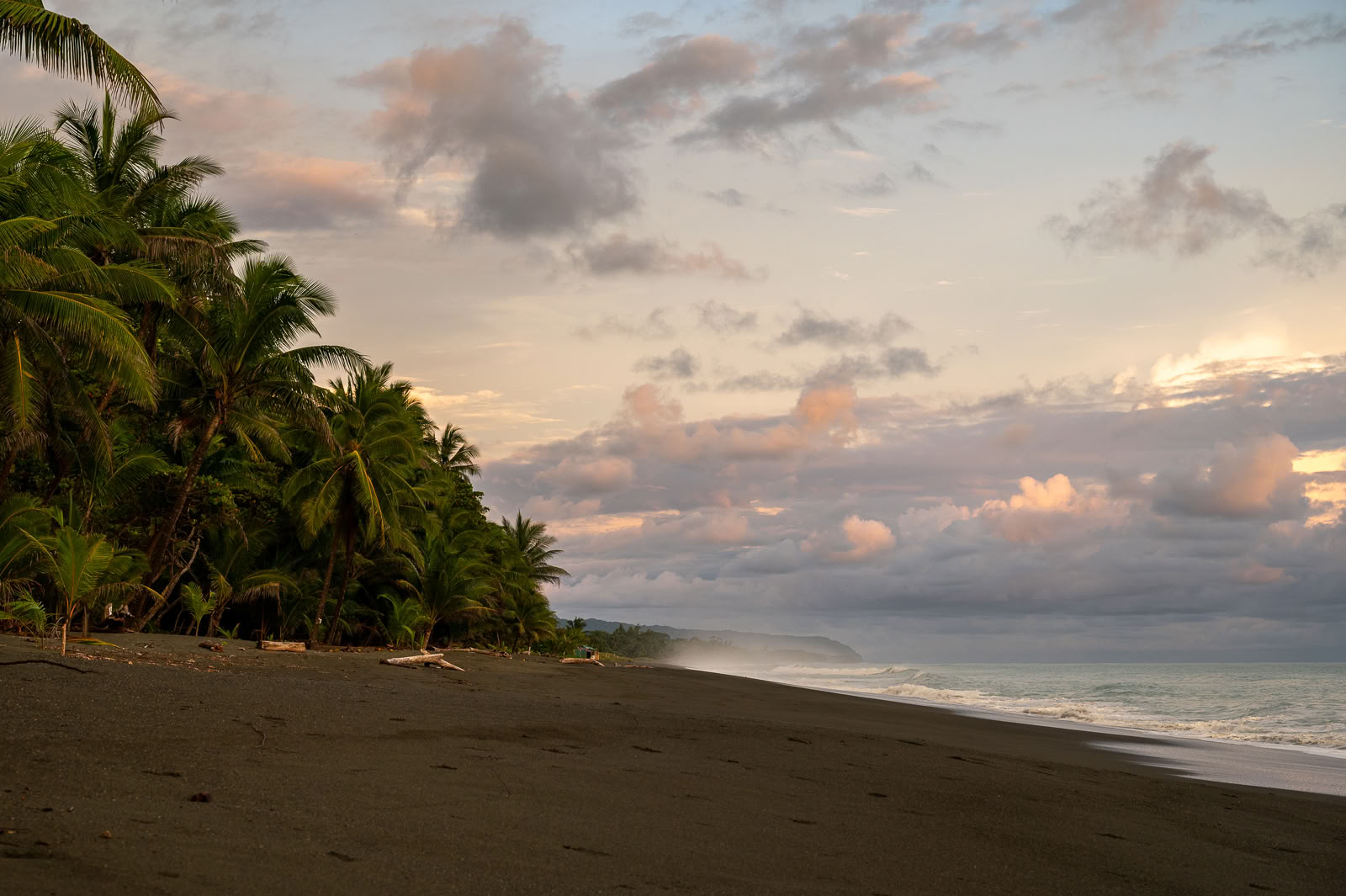 Kambo Ceremony in Cahuita - Cleanse, Heal & Empower