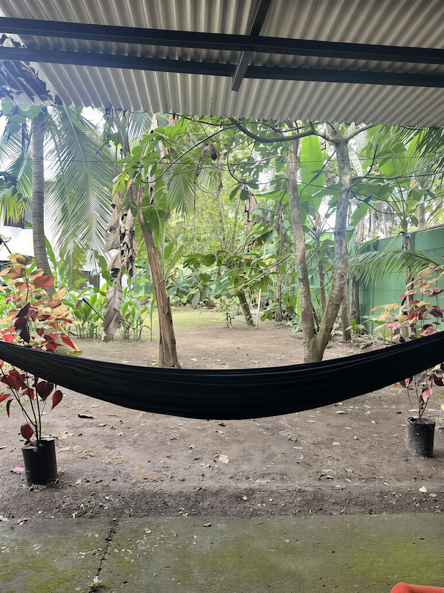 Home Sanctuary Ayahuasca Retreat – 19 - 26 September