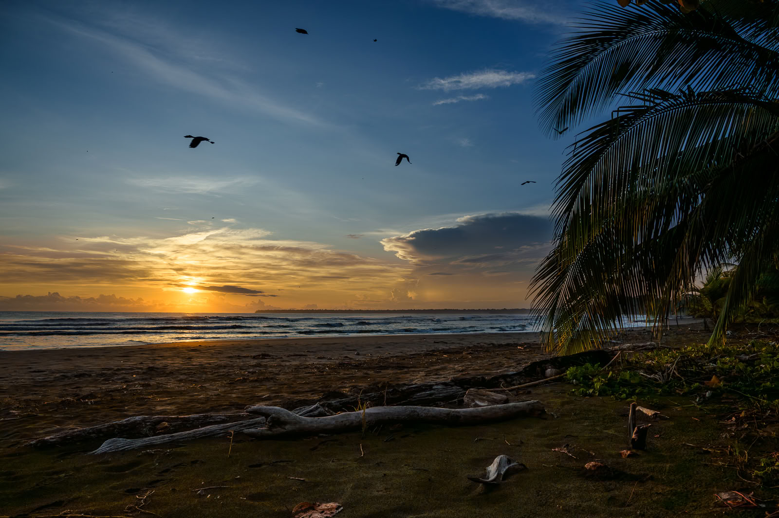 Home Sanctuary Ayahuasca Retreat – 7 - 14 November