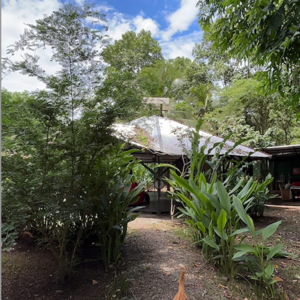 Home Sanctuary Ayahuasca Retreat – 21-28 November