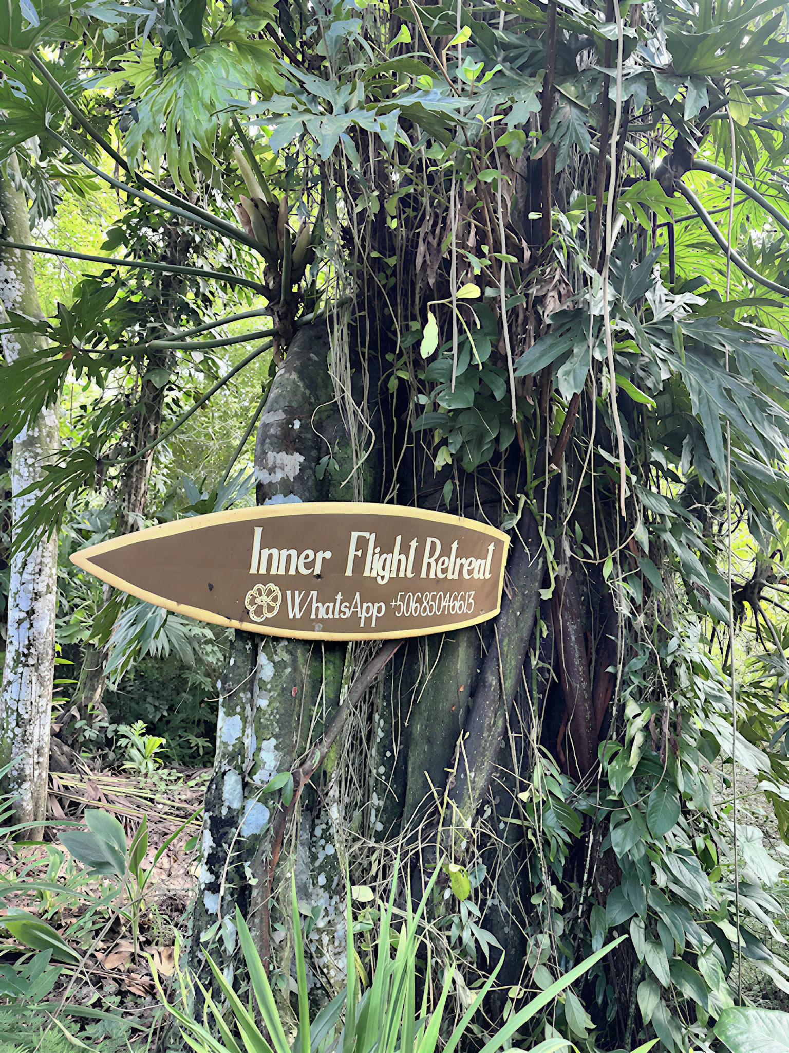 Home Sanctuary Ayahuasca Retreat – 21-28 November