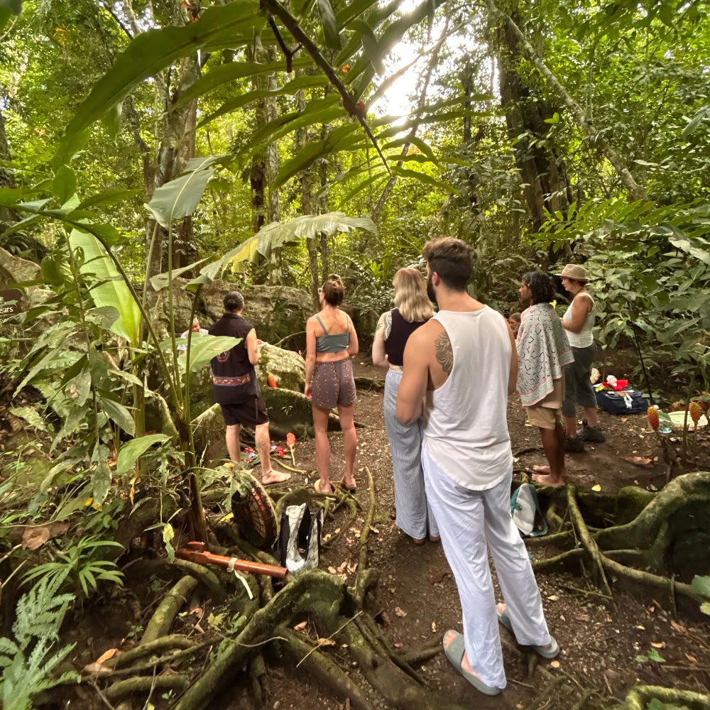 Shipibo Healing Retreat
