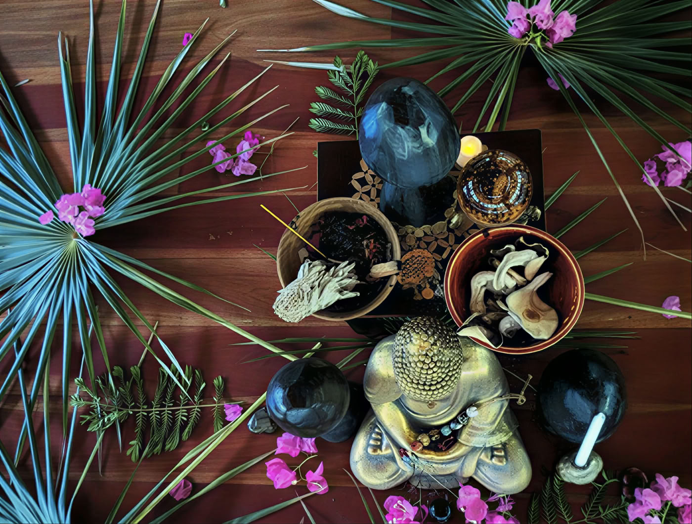 6-Day Psilocybin Retreat Program