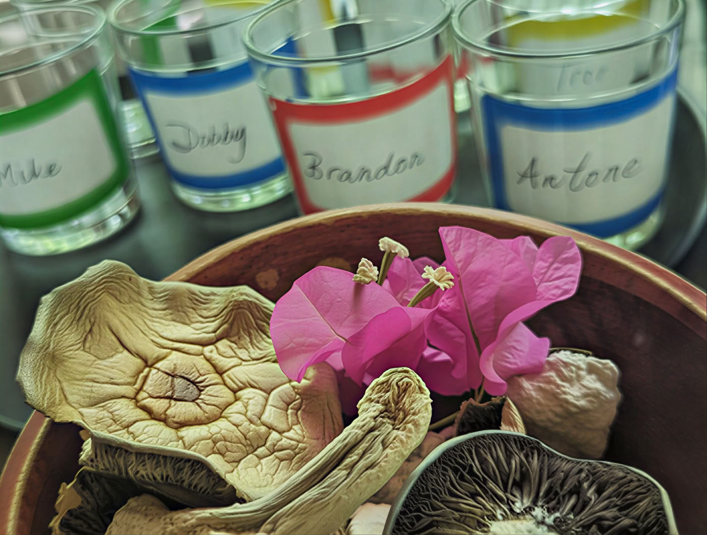 6-Day Psilocybin Retreat Program