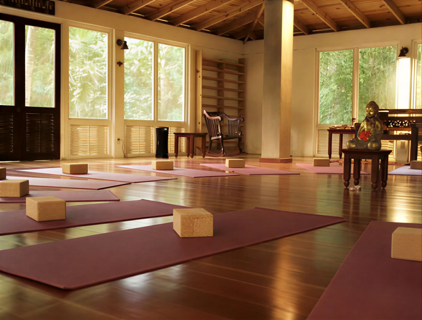 6-Day Psilocybin Retreat Program