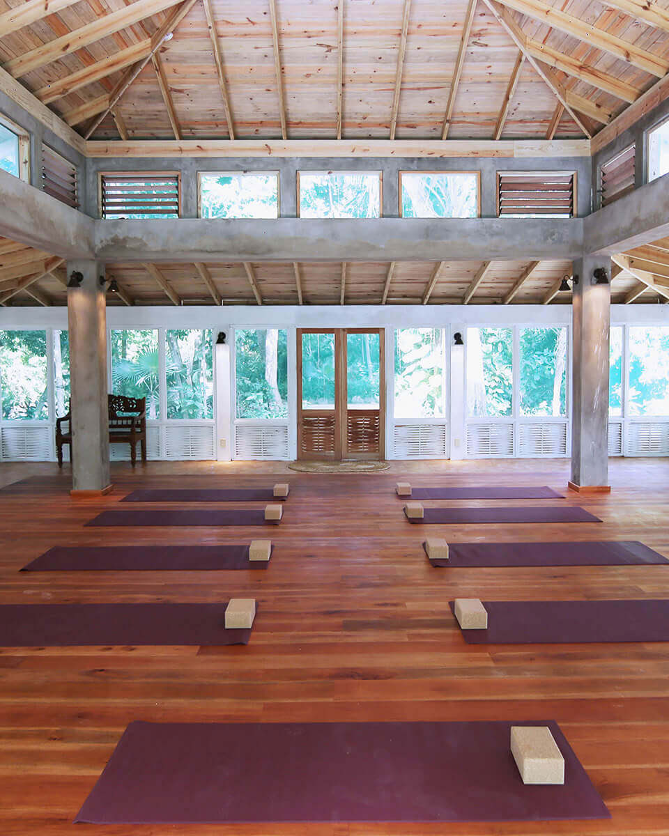 6-Day Psilocybin Retreat Program