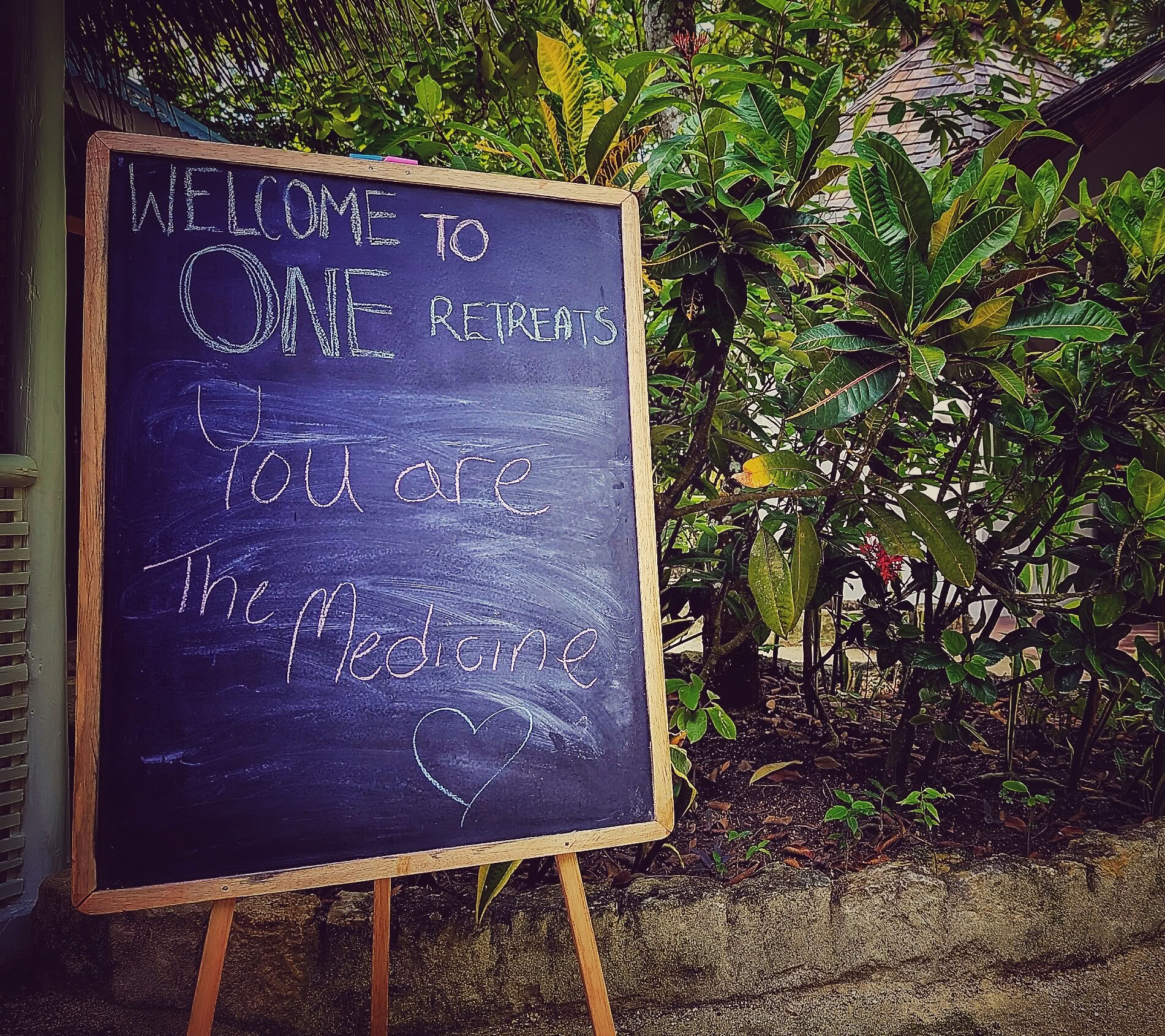 6-Day Psilocybin Retreat Program
