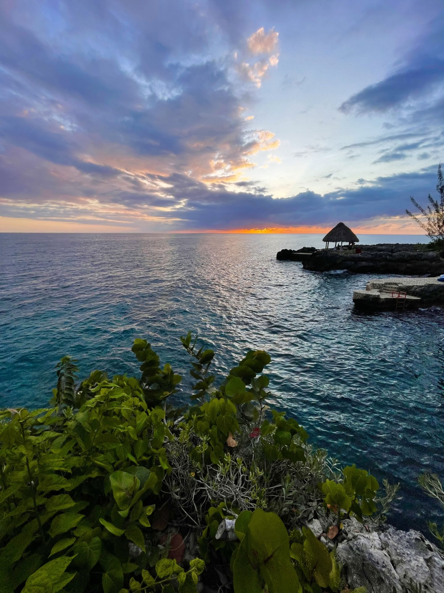 6-Day Psilocybin Retreat Program