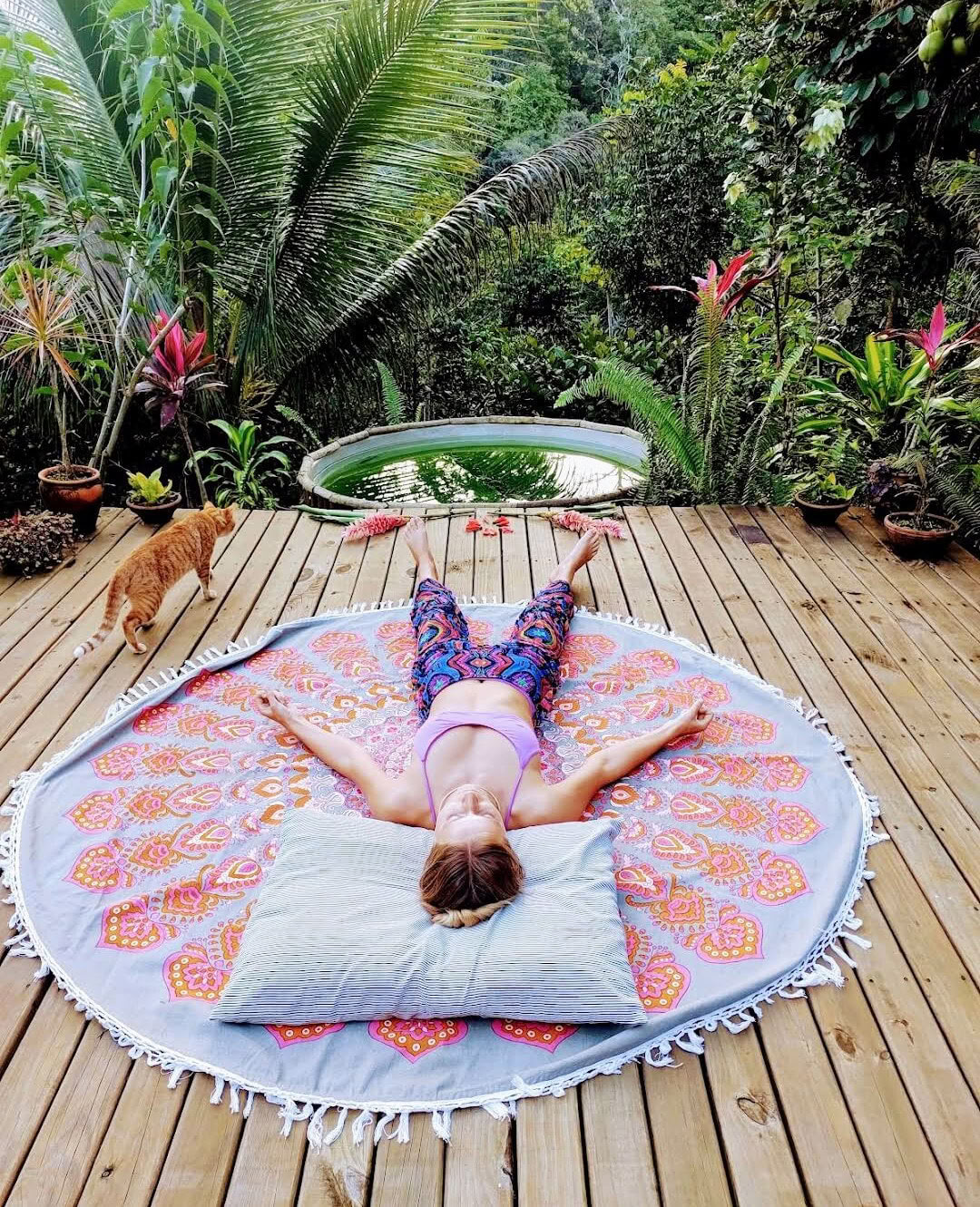 4 Day Ayahuasca Private Retreat