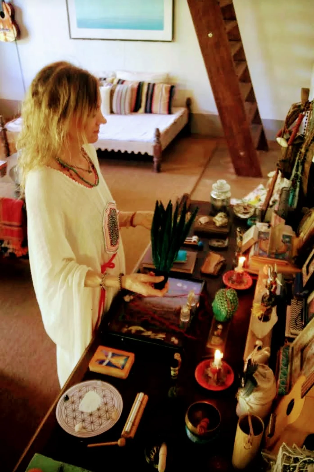 6 Day Ayahuasca Private Retreat