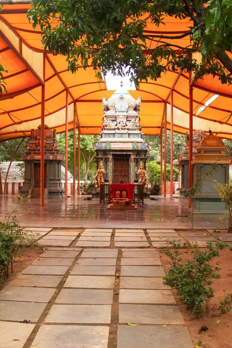 Yoga Teachers' Training Course