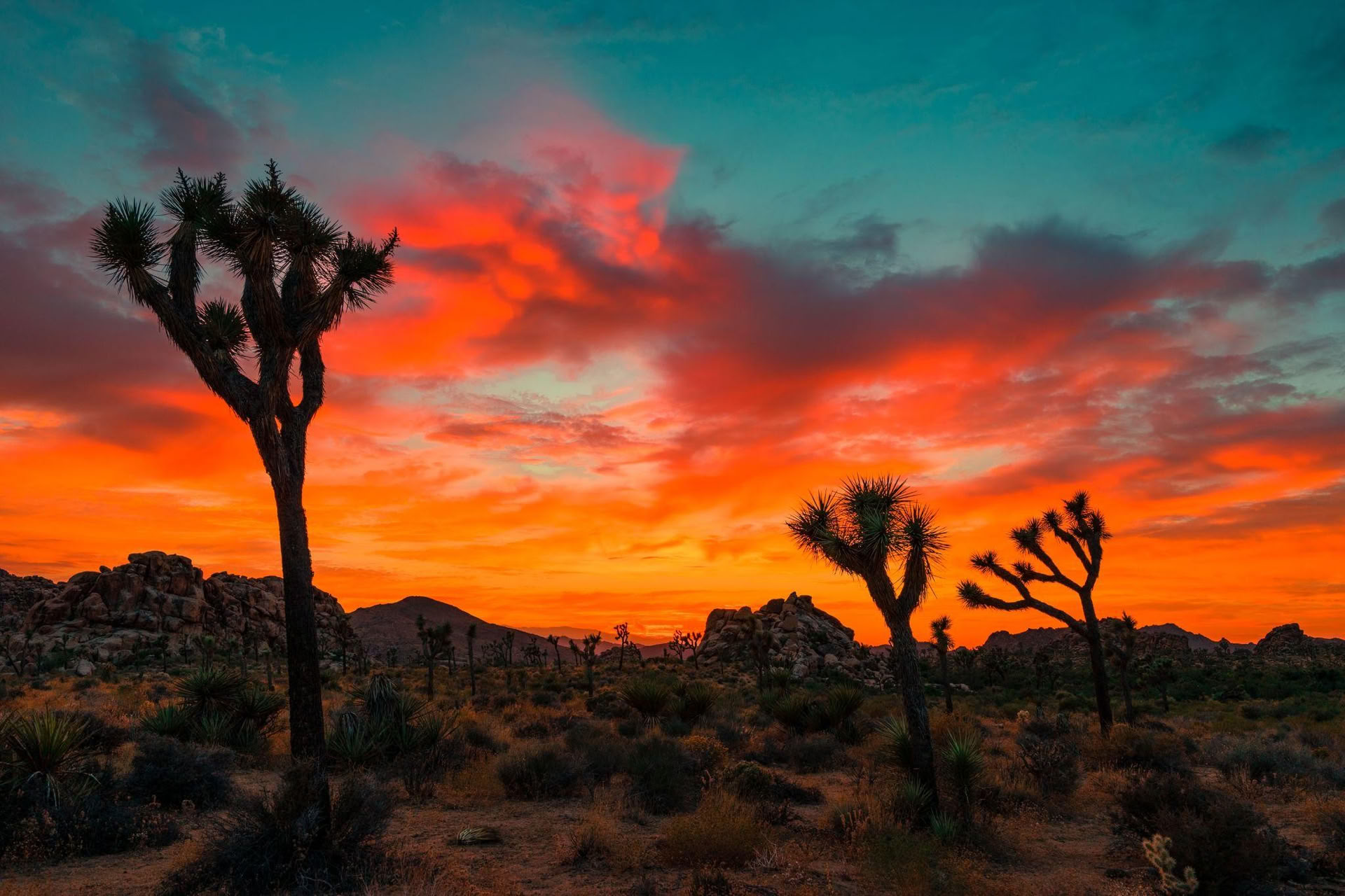 The Transformational Desert Journey