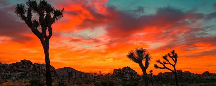 The Transformational Desert Journey