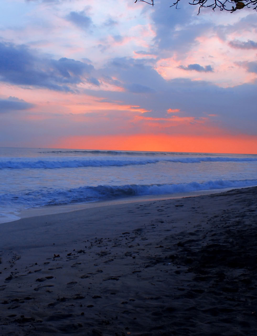 The Coherent Body — Blue Zone Longevity Blueprint Retreat