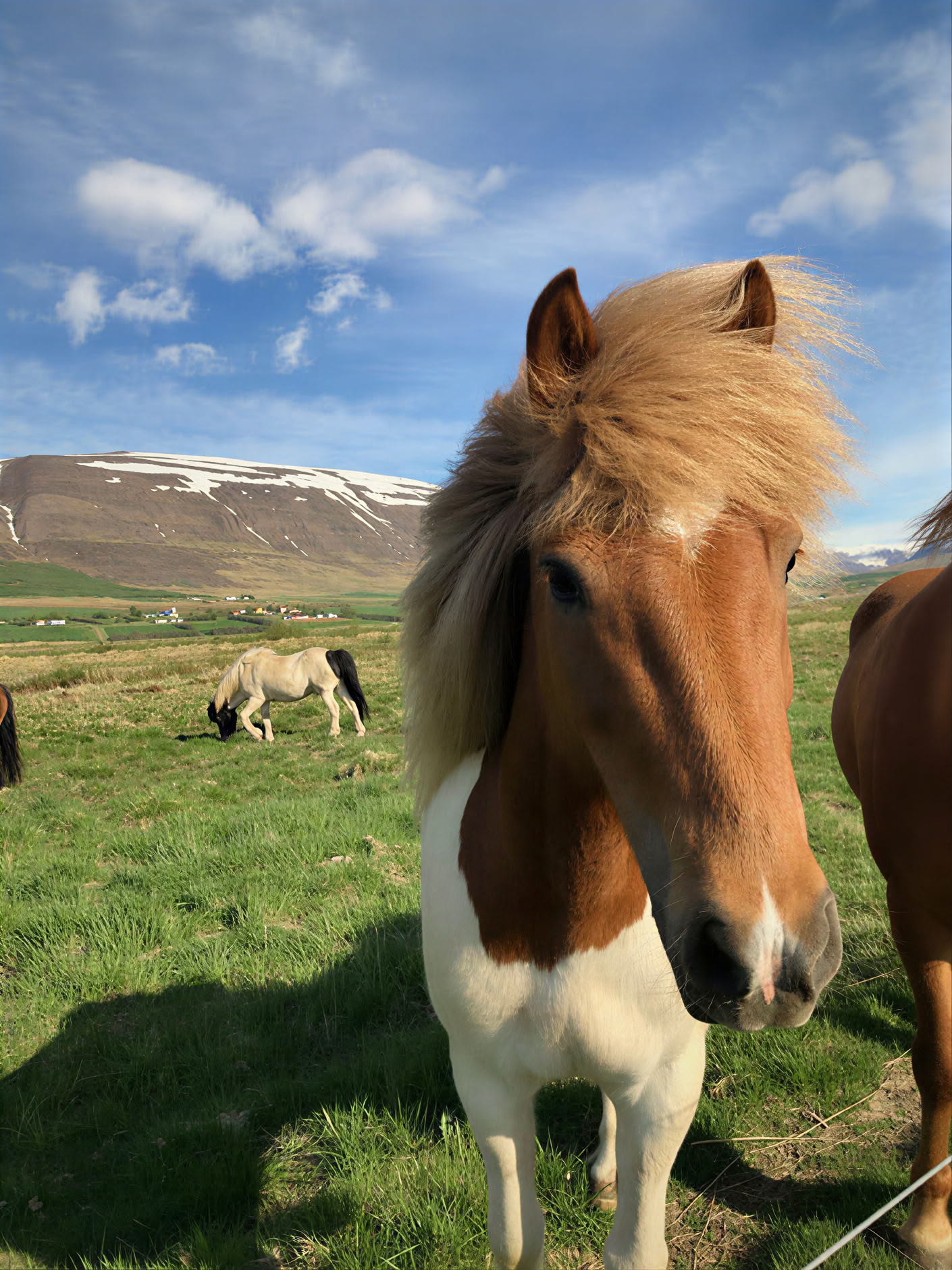 Yoga & Hiking Midnightsun Retreat in Iceland – Dates 2025