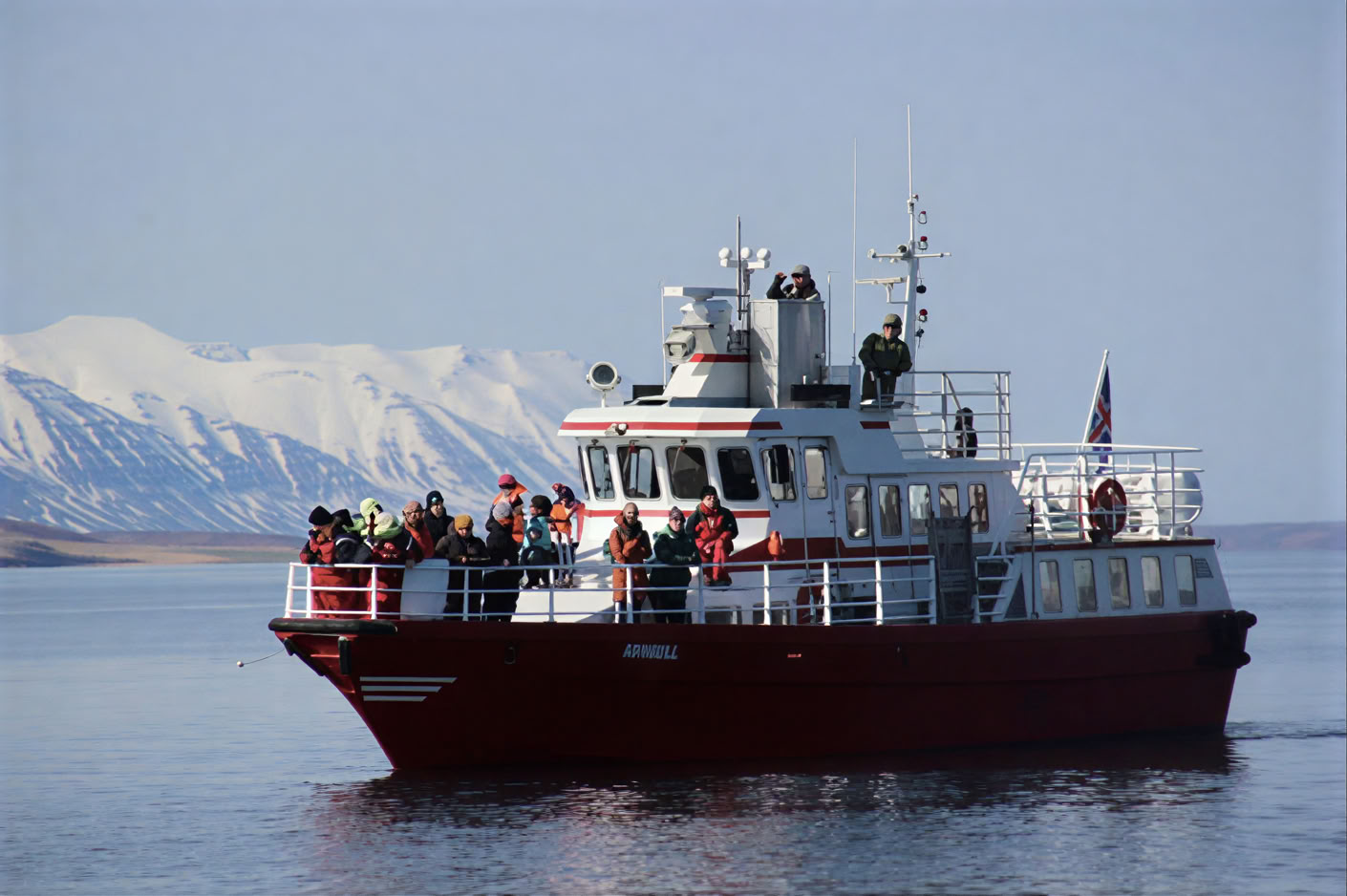 Akureyri Whale Watching