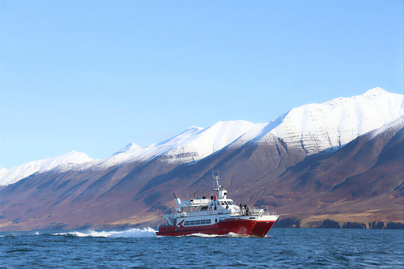 Akureyri Whale Watching