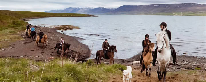 Akureyri Northern Lights Cruise