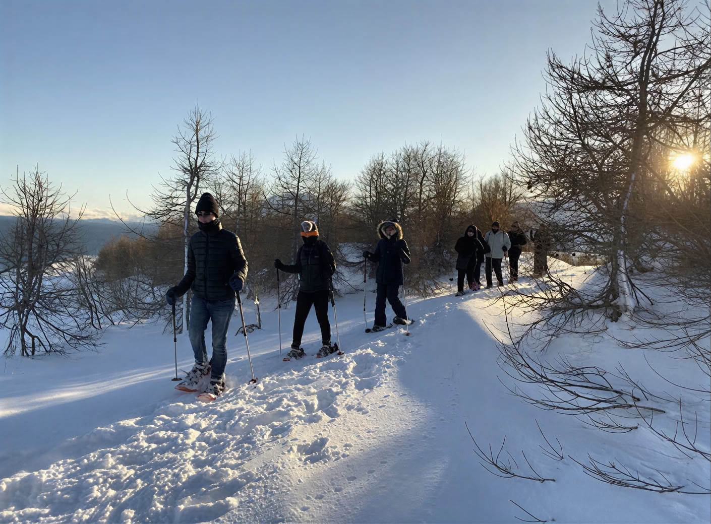 Yoga Retreat under the Northern Lights in Iceland – Dates Winter 2026