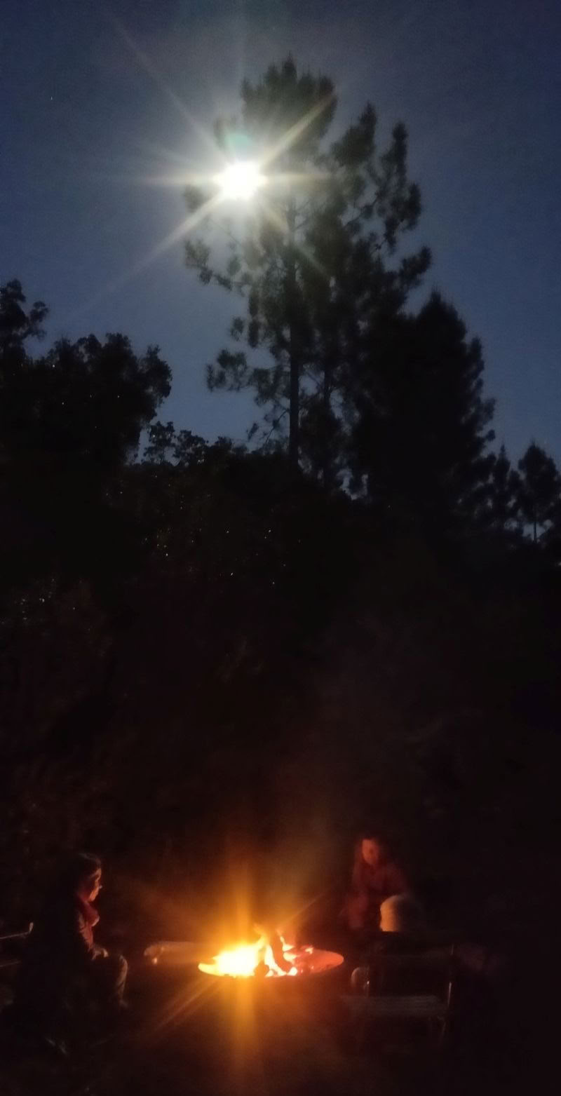 The Phoenix Rises - A Vision Quest Retreat
