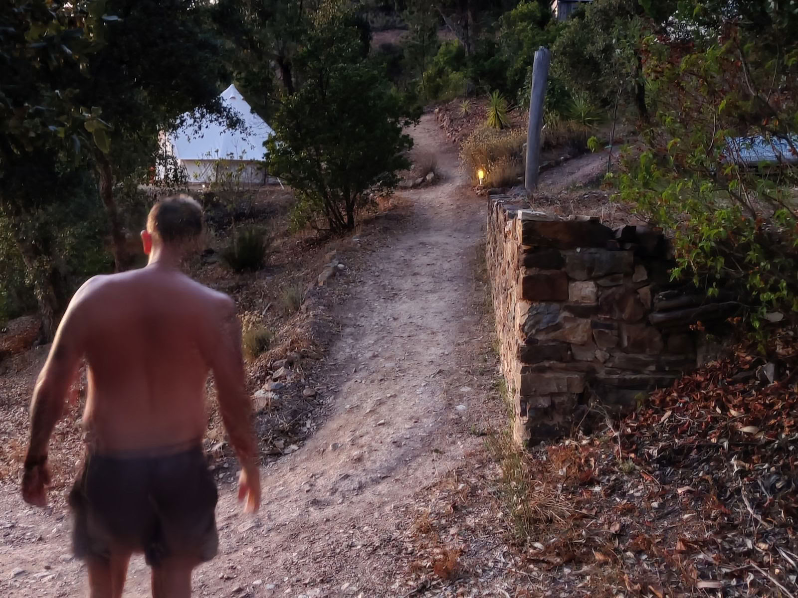 The Phoenix Rises - A Vision Quest Retreat