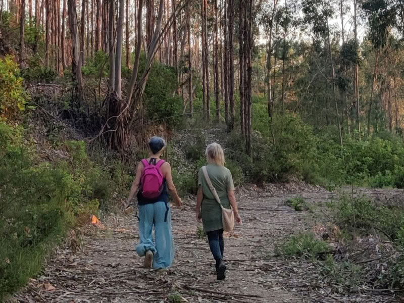 The Phoenix Rises - A Vision Quest Retreat