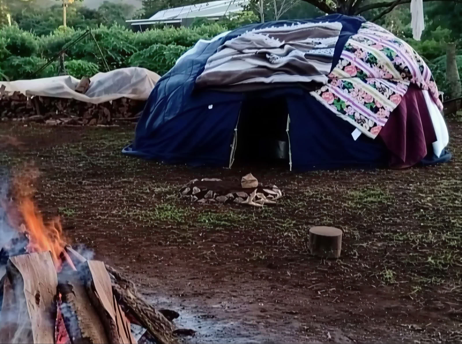The Phoenix Rises - A Vision Quest Retreat
