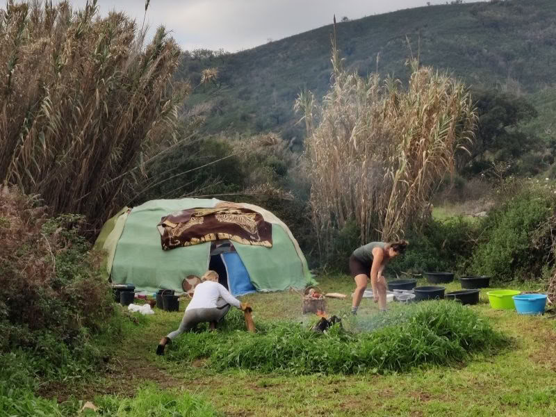 The Phoenix Rises - A Vision Quest Retreat