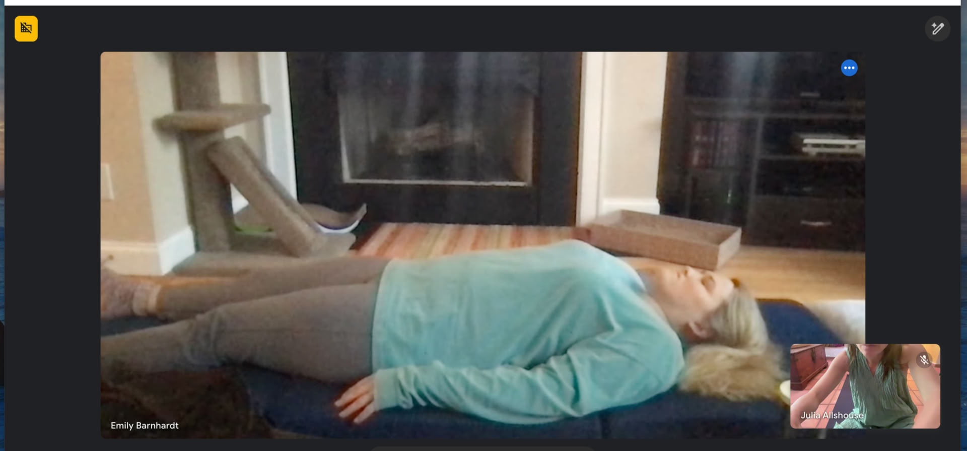 Therapeutic Tremoring (TRE) & Somatic Shaking Medicine