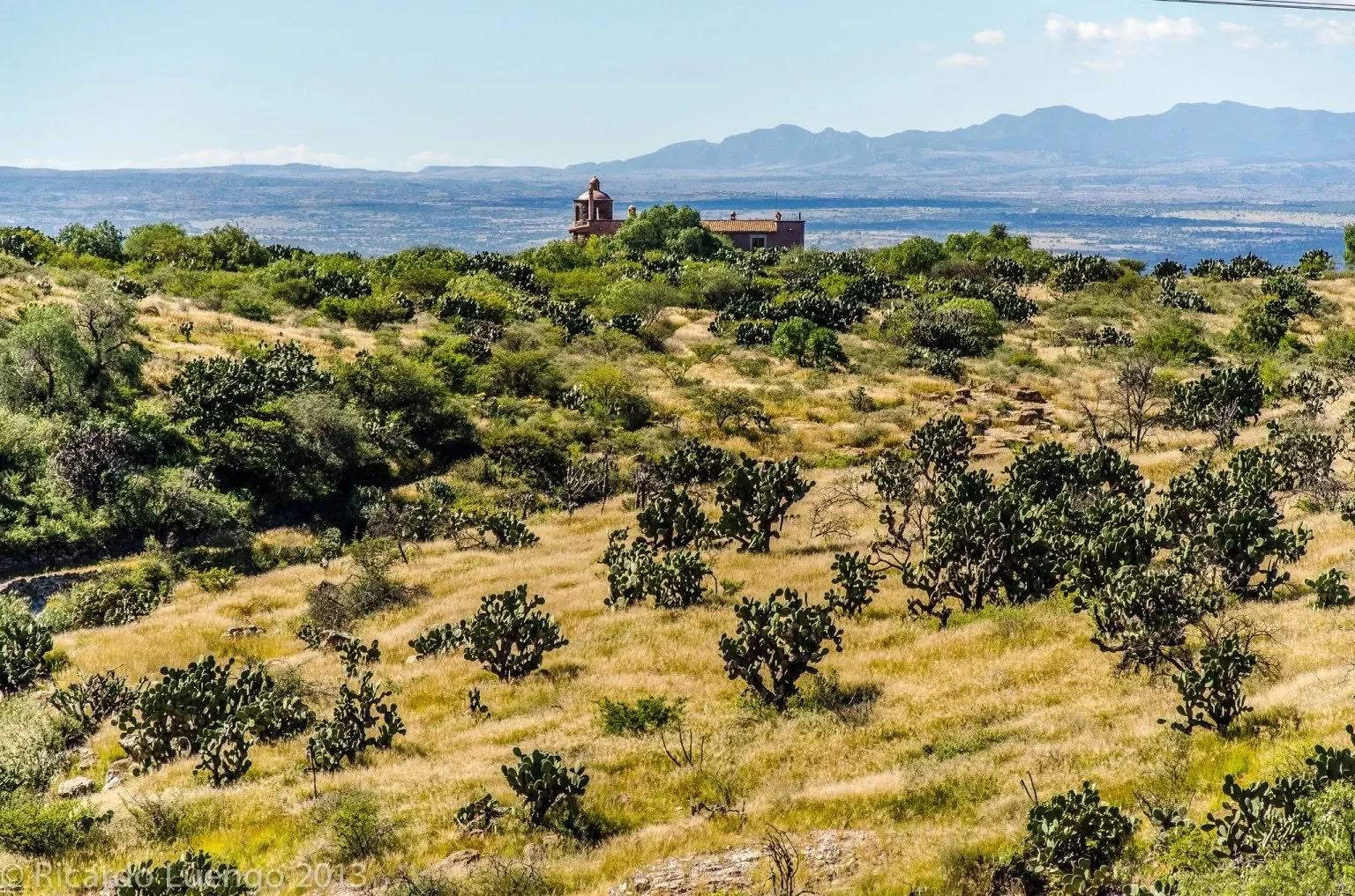 Nourish Your Soul Wellness Retreat