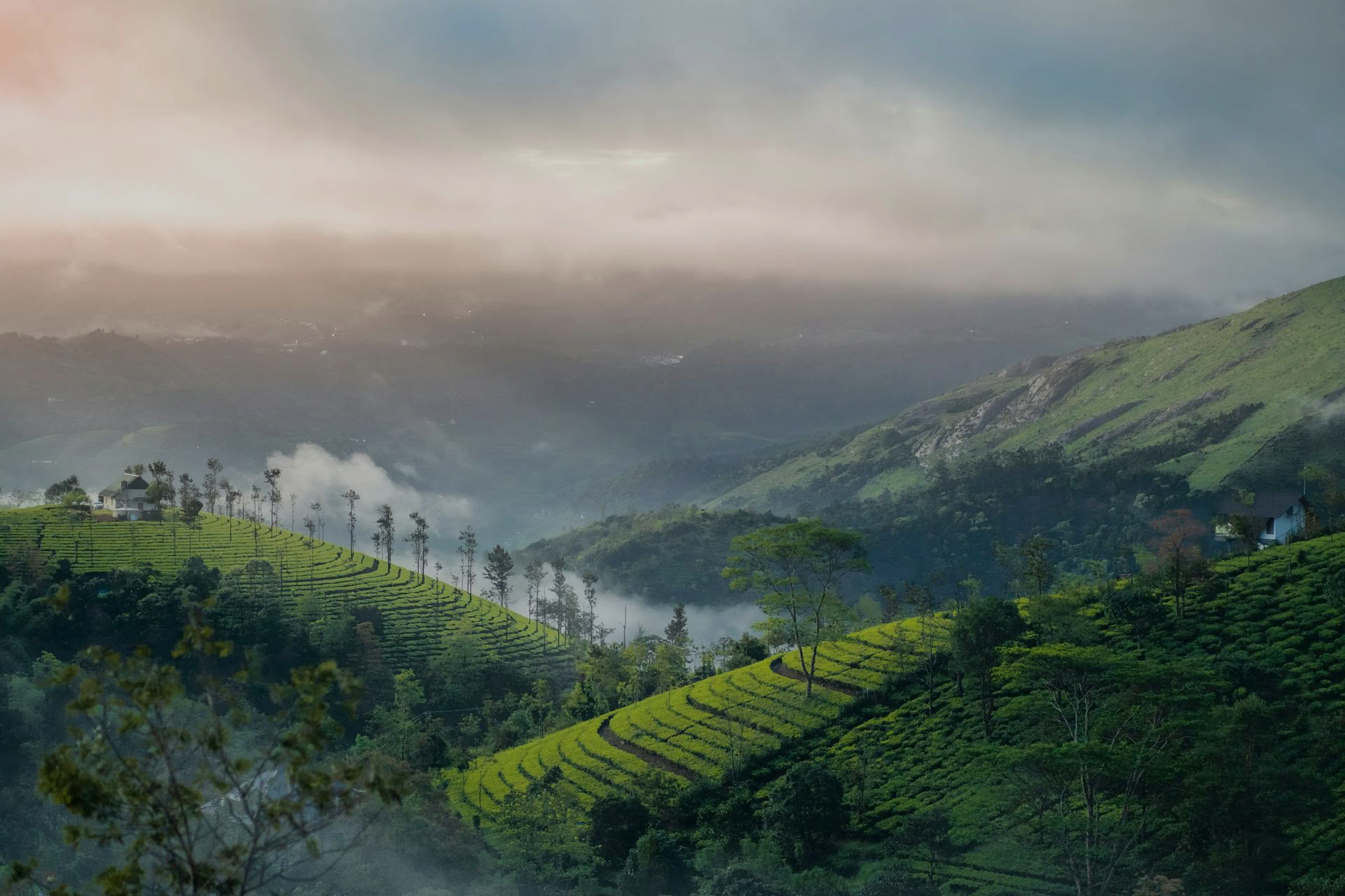 Kerala Yoga Retreats with Ira Trivedi