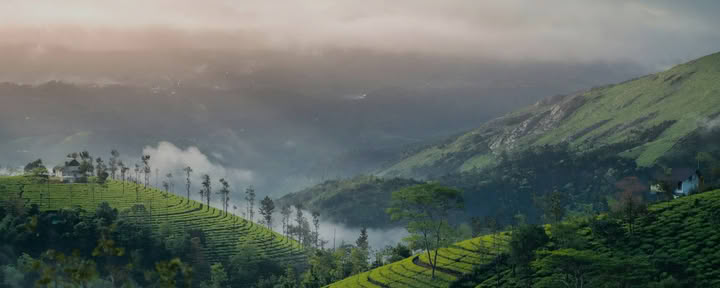 Kerala Yoga Retreats with Ira Trivedi