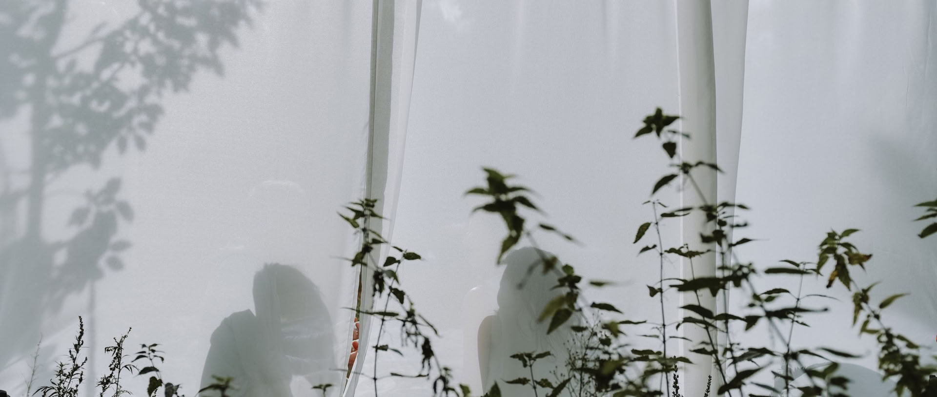 Wild Breathwork Berlin – Breathwork Journey Under the Open Sky