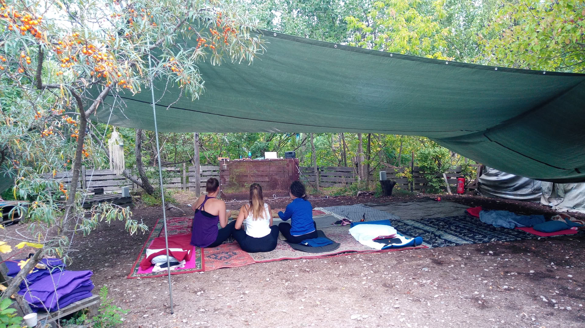 Wild Breathwork Berlin – Breathwork Journey Under the Open Sky