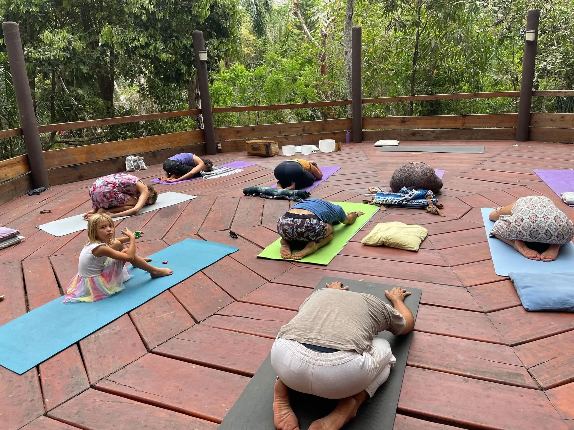 Heal Subtle Forces Within: Reset & Recovery Wellness Retreat