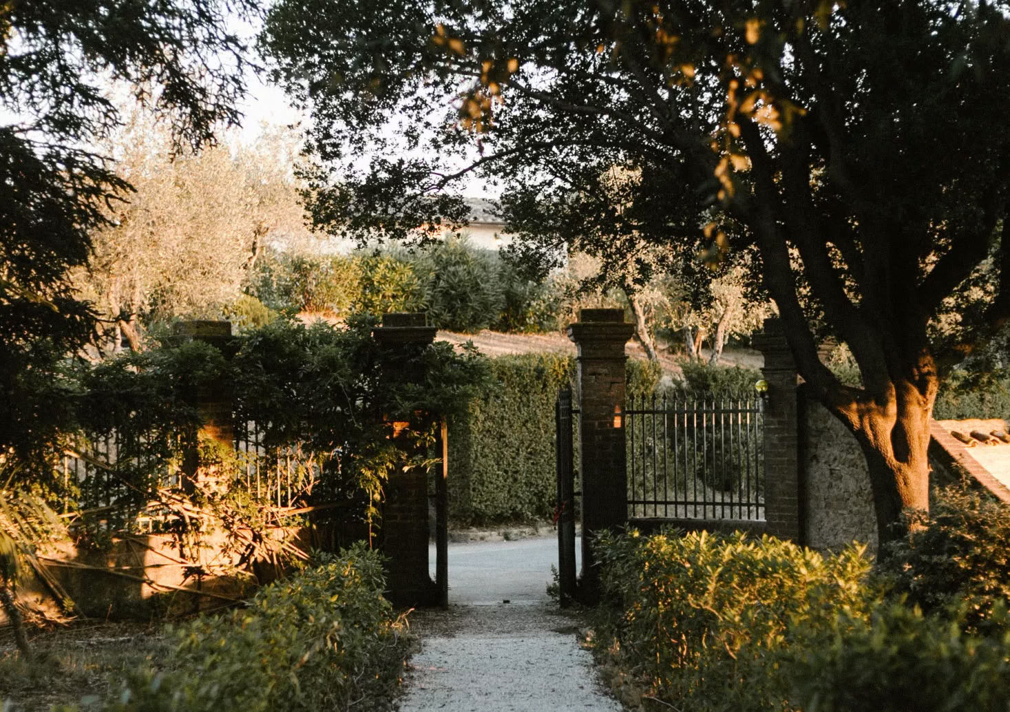 Nature Retreat