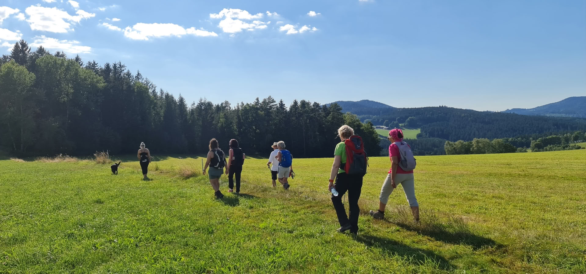 Yoga-Detox-Retreat with Hiking at Kloster Waldbreitbach