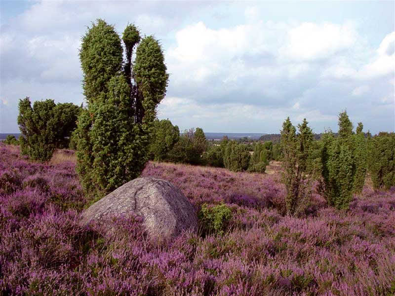 Fasting Course with Hiking and Yoga