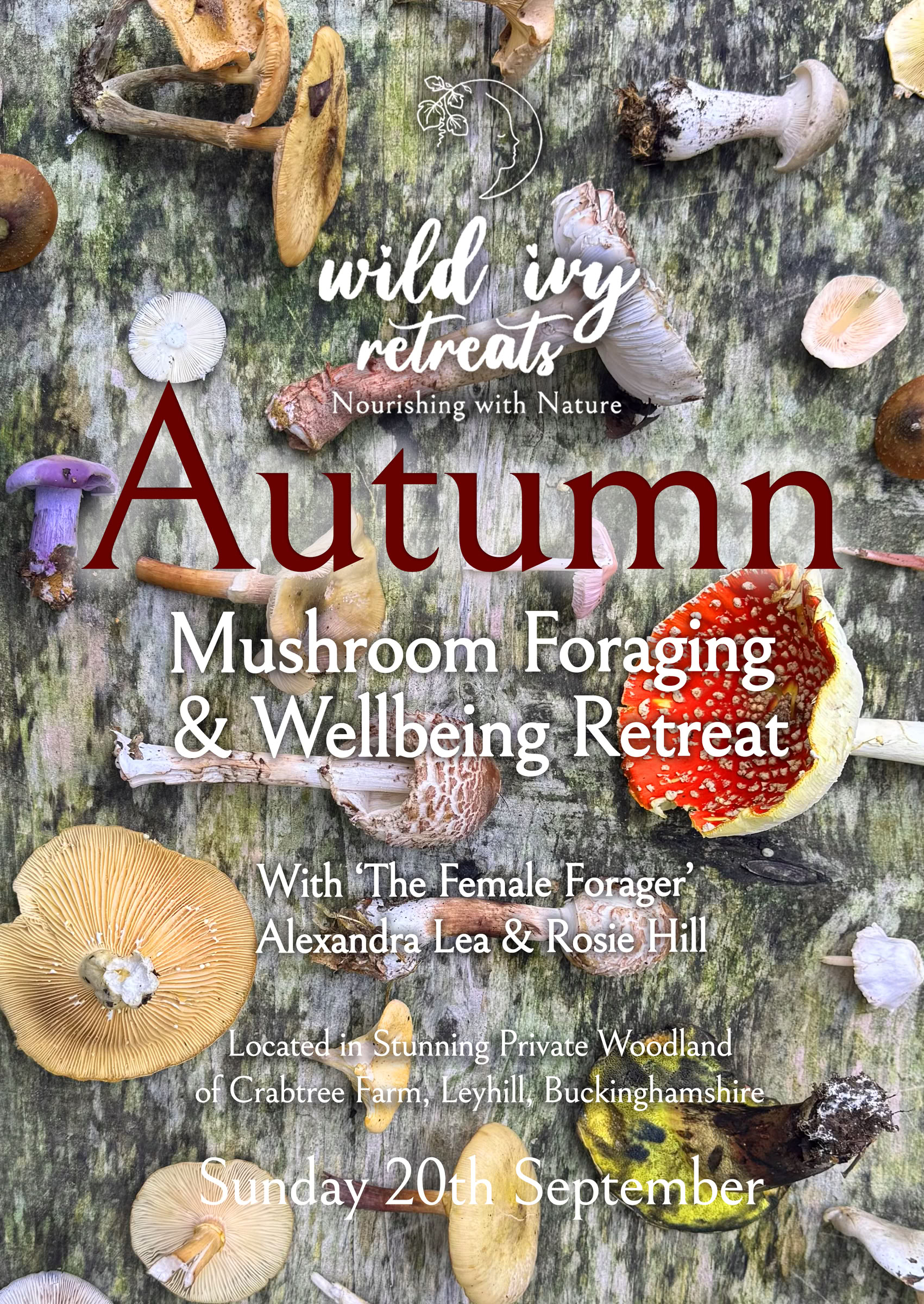 Autumn Mushroom Foraging Morning