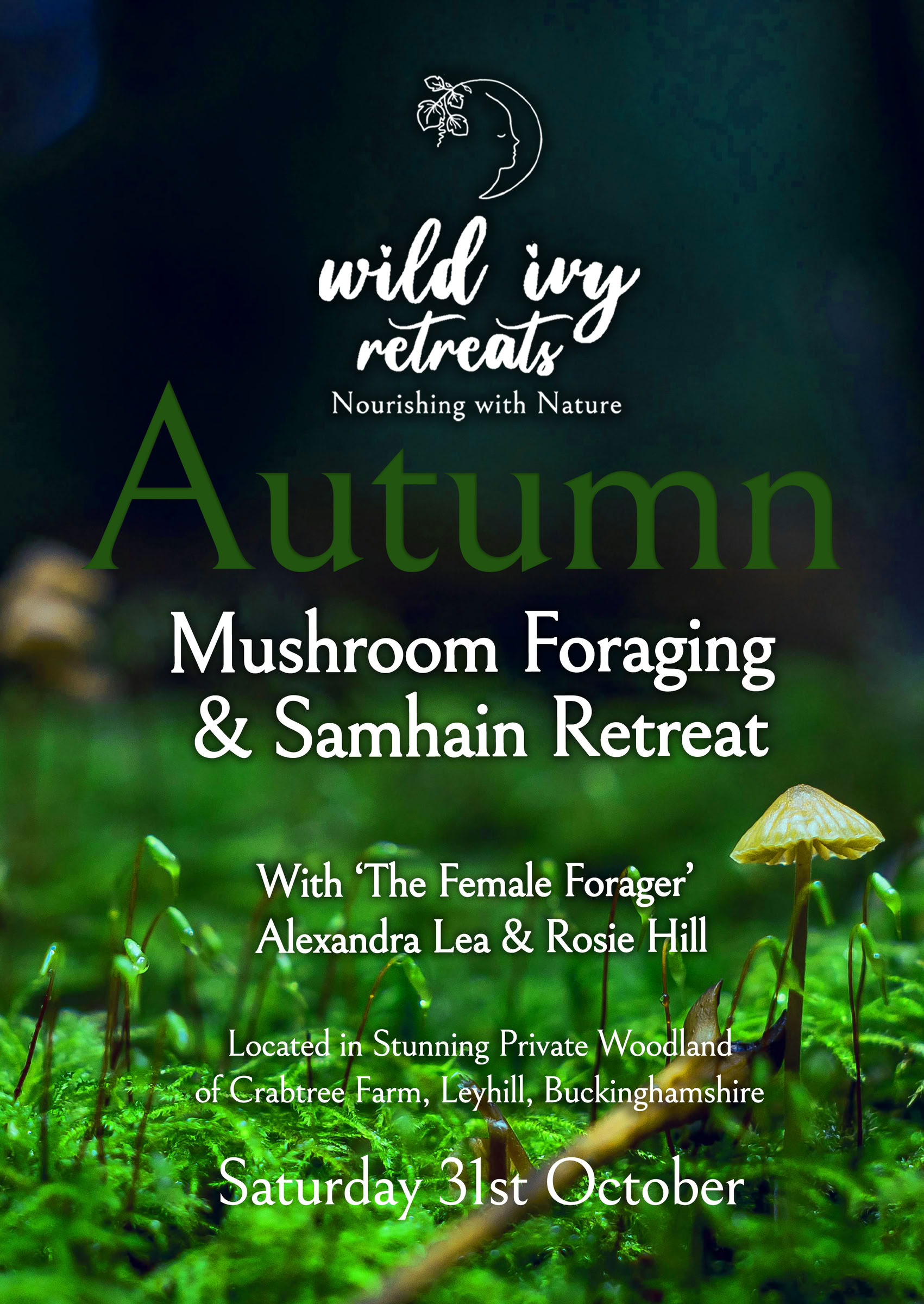 Autumn Samhain Foraging Retreat