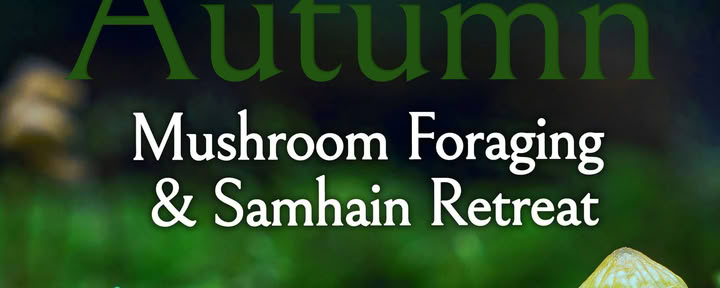 Autumn Samhain Foraging Retreat