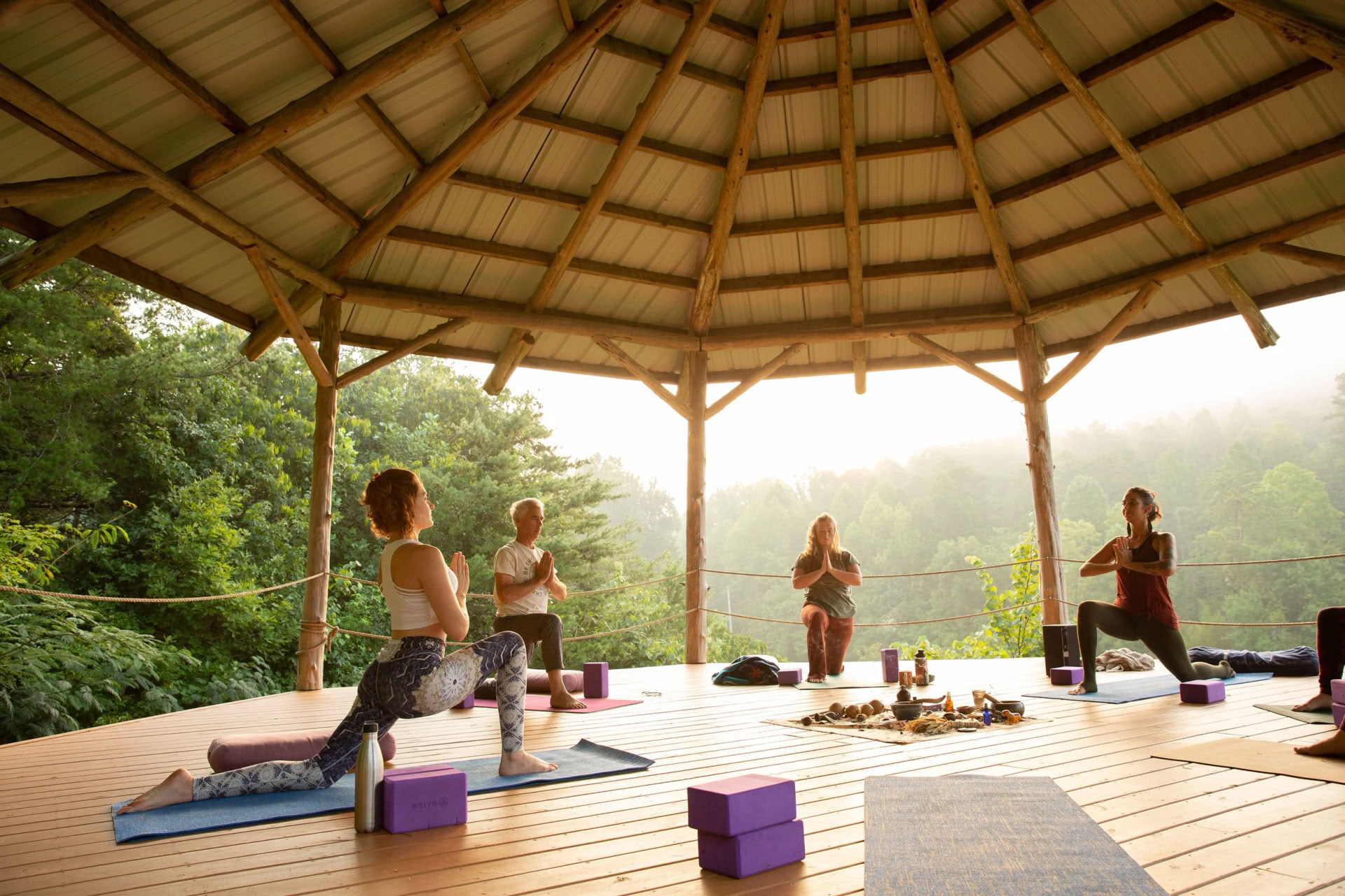 Yin & Somatics Yoga Teacher Training | Smoky Mountains — Seven Springs