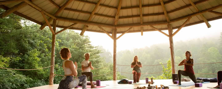 Yin & Somatics Yoga Teacher Training | Smoky Mountains — Seven Springs