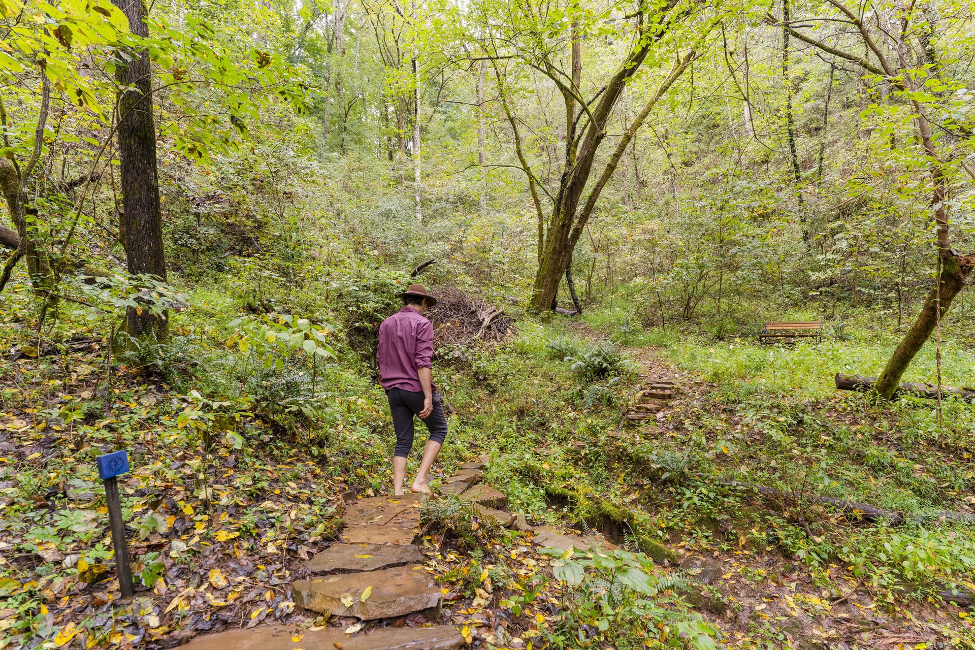 Yoga & Hiking Retreat – OCTOBER 29 - NOV 1, 2026