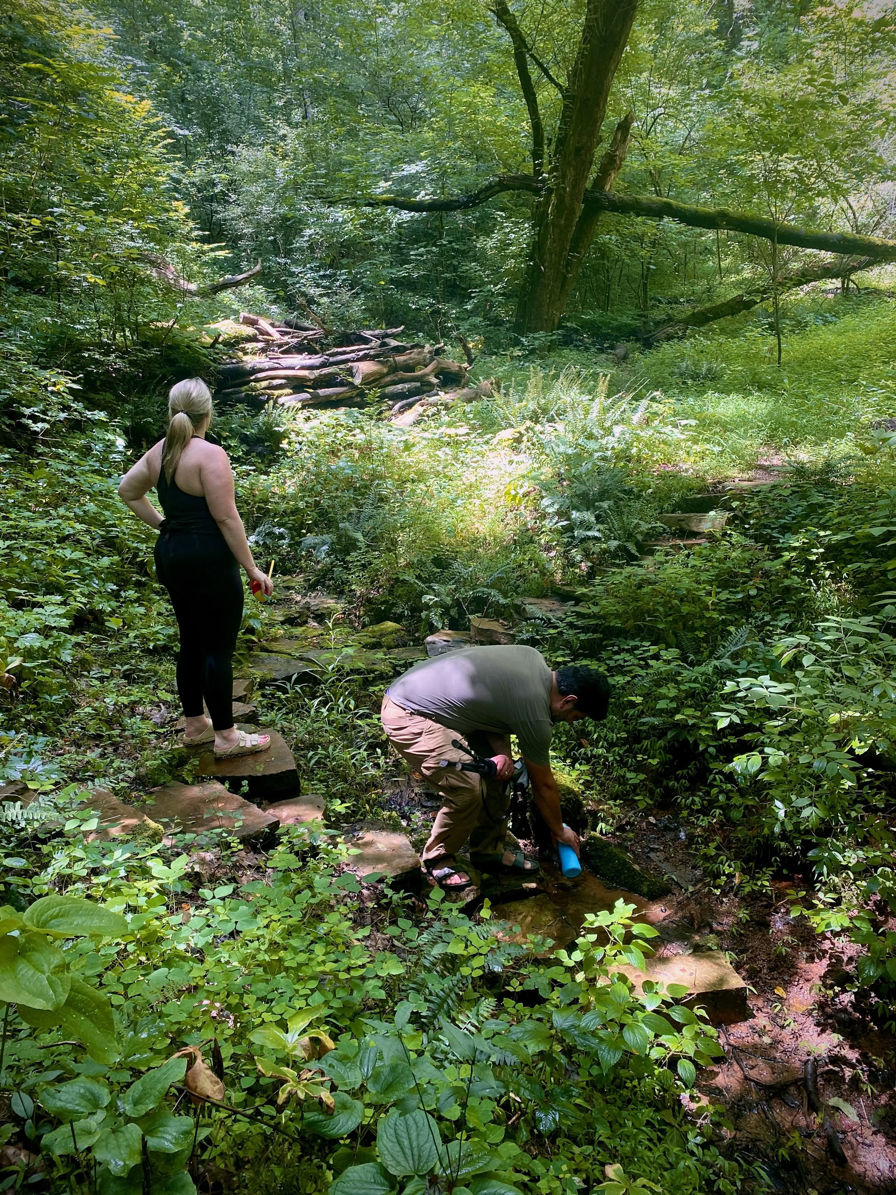 Walking the Path: Labyrinth & Nature Immersion Retreat